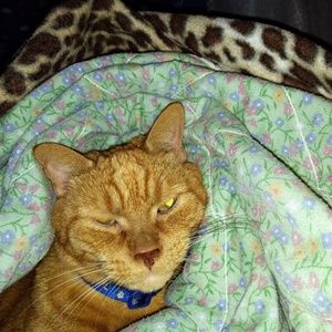 Meet your Posher, Paula